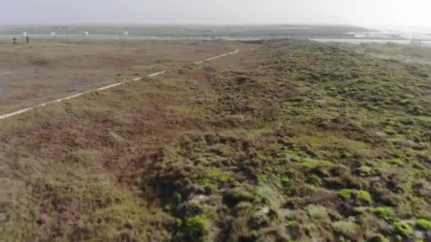 Rasch Fliegt Über Die Wiese Richtung Stützmauer Und Eine Möwe — Stockvideo