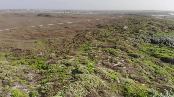 Survoler Rapidement Les Prairies Vers Mur Soutènement Images Aériennes Jetée — Video