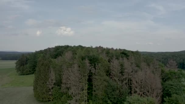 Letecký Snímek Krásné Přírodní Krajiny Německu Dolním Sasku Evropa — Stock video