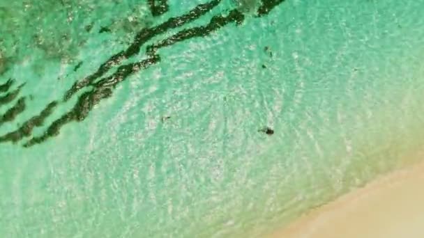 Aerial Footage Model Swimming Crystal Clear Waters Caribbean Sea Petit — Stock Video