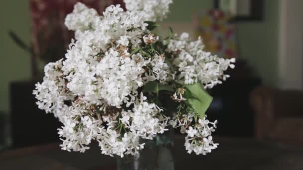コーヒーテーブルの上に白いライラックの花束の遅いパンニングショット — ストック動画