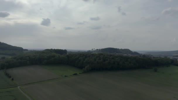 Drone Colpo Bella Piccola Foresta Germania Bassa Sassonia — Video Stock