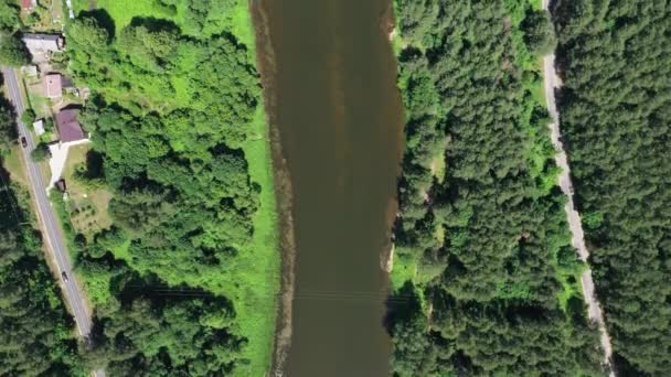 Аэриал Камера Смотрит Вниз Берегу Реки Лесу Зелеными Деревьями Обе — стоковое видео