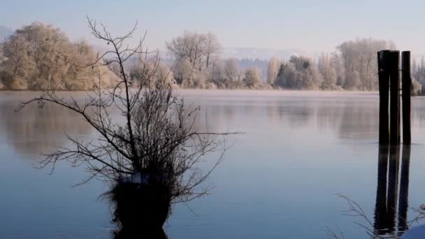 Studené Zimní Ráno Snohomish River Pomalý Sledovací Výstřel — Stock video