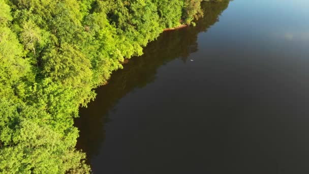 Lago Apino Distrito Pomeranian Pomorskie Polônia Europa Oriental — Vídeo de Stock