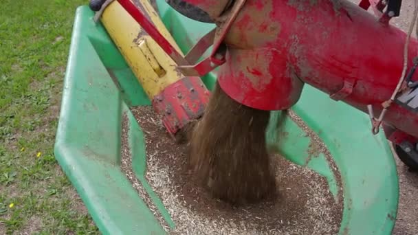 Transfer Auger Feeding Canola Another Auger — Stock Video