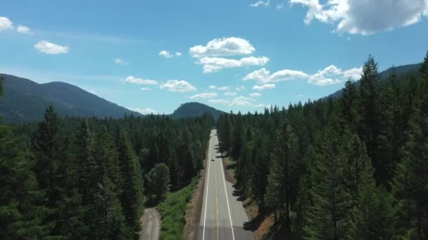 北カリフォルニアの鬱蒼とした常緑樹林を通って長い直線郡道を運転する車の空中飛行 — ストック動画