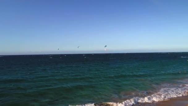 Droning Palm Trees Ocean Plaże Podczas Gdy Kite Boarders Cieszą — Wideo stockowe