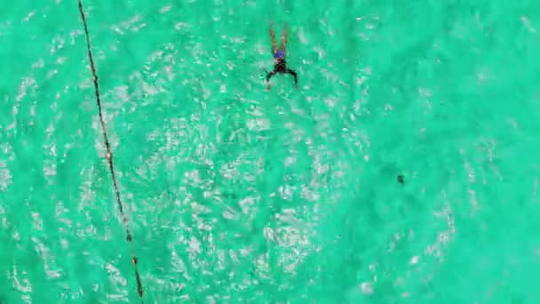 Bikini Strój Kąpielowy Model Pływanie Krystalicznie Czystych Wodach Tobago Cays — Wideo stockowe