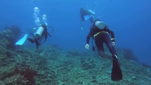 Timelapse Grupo Tres Buceadores Nadando Través Del Arrecife Coral Okinawa — Vídeos de Stock