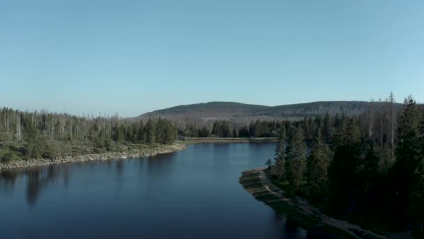 Drone Aerial Shot Beautiful Lake Harz National Forest Alemania — Vídeos de Stock