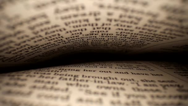 Τραβώντας Ένα Φακό Από Ένα Βιβλίο Επικεντρωμένο Στη Σελίδα Λέξεις — Αρχείο Βίντεο