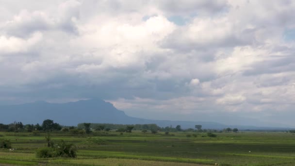 Paisaje Verde Rural Salvaje Del Este Uganda Con Campos Arroz — Vídeos de Stock