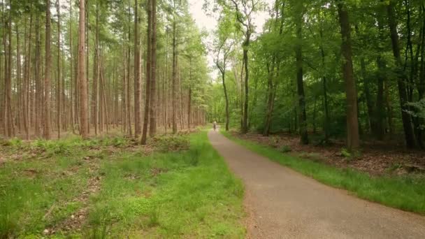 Ciclismo Bosque Ciclistas Largo Del Sendero — Vídeos de Stock