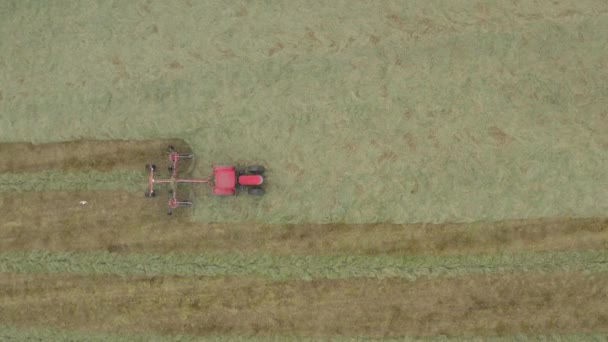 Aerial Shot Looking Straight Red Tractor Which Raking Cut Grass — Stock Video