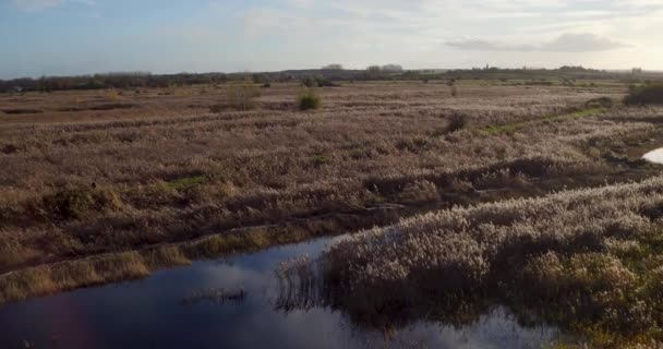Gün Batımında Stodmarsh Doğa Koruma Alanında Mercek Fişekleri Olan Bir — Stok video