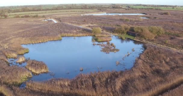 Široký Obecný Letecký Pohled Přírodní Rezervaci Stodmarsh Kent Velká Británie — Stock video