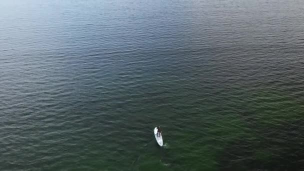 Imagens Drones Sup Boarder Remando Águas Azul Verdes — Vídeo de Stock