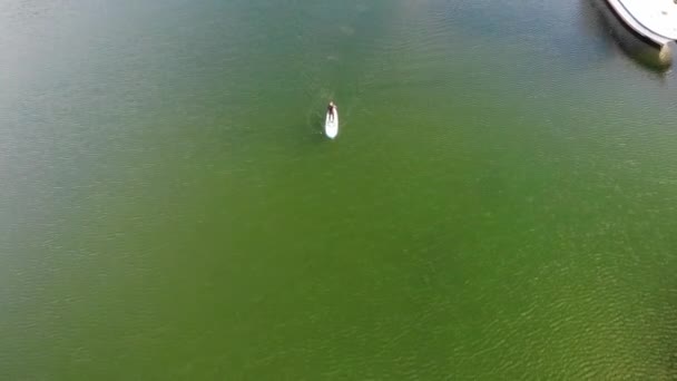 Sup登船者划桨的绿水过船无人驾驶镜头 — 图库视频影像