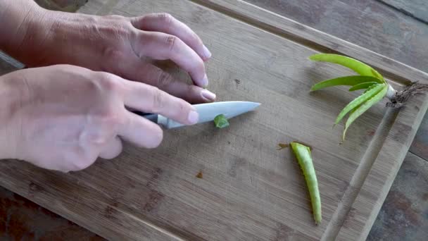 将芦荟叶切在木板上 以收获凝胶 — 图库视频影像