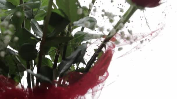 Naklápěcí Jeřáb Záběr Valentýna Květinové Aranžmá Bílém Pozadí — Stock video
