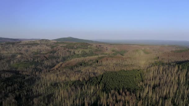 Malownicze Zdjęcia Dronów Lesie Narodowym Harz Zachodzie Słońca — Wideo stockowe