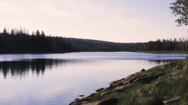 Impressões Belo Lago Pôr Sol Floresta Nacional Harz — Vídeo de Stock