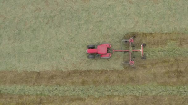 Antena Tractor Rojo Con Rastrillo Circular Moviéndose Derecha Izquierda Bastidor — Vídeo de stock