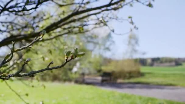 Abandoned Radarstation Meadow 100Fps Use Slow Motion — Stock Video