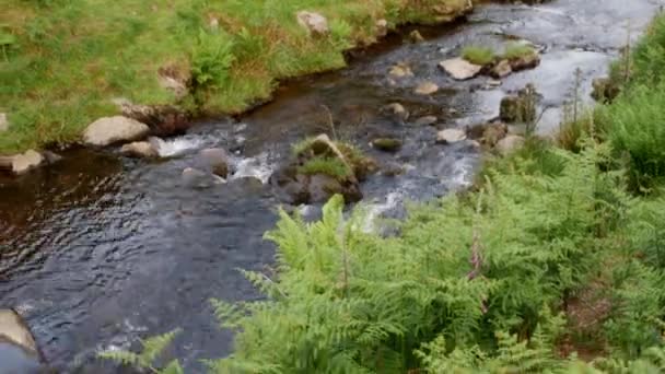 Szenische Ansichten Eines Flusses Mit Kleinen Wasserfällen Three Kakerlaken Head — Stockvideo