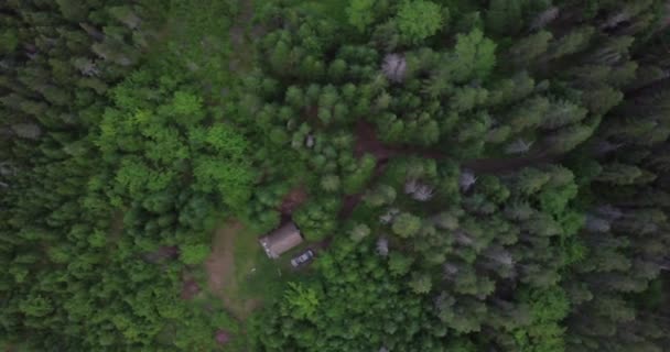 Pan Esquerda Topos Árvores Floresta Pinheiros Com Uma Cabine Armação — Vídeo de Stock