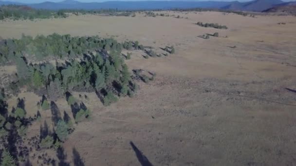 位于加利福尼亚州北部拉森县的德隆山 秋天的时候 他发现了松树和平原 — 图库视频影像