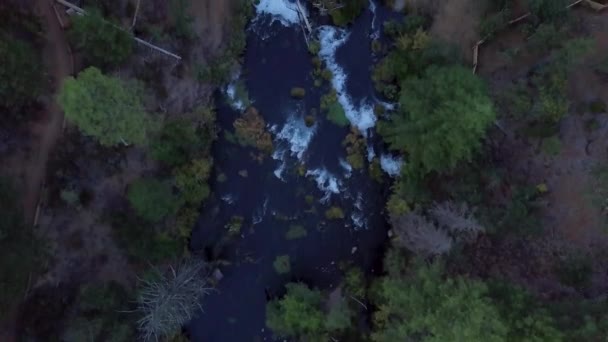 Burney Falls Şelalesini Ortaya Çıkarmak Için Nehri Tepeden Aşağıya Doğru — Stok video