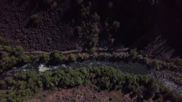 Flussabwärts Grund Einer Schlucht Nordkalifornischen Lassen County — Stockvideo