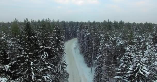 Μπροστά Κινούμενη Εναέρια Άποψη Ενός Χιονισμένου Δασικού Δρόμου Ελάτης Κατά — Αρχείο Βίντεο