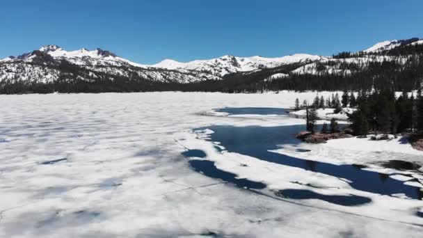 Aerial Shot Frozen Lake Spring Thaw Pine Forest Snowcapped Sierra — Stock Video