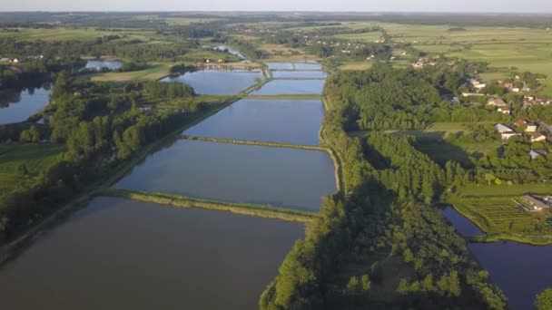 Vista Aérea Campos Arroz Inundados Polonia Durante Puesta Del Sol — Vídeos de Stock