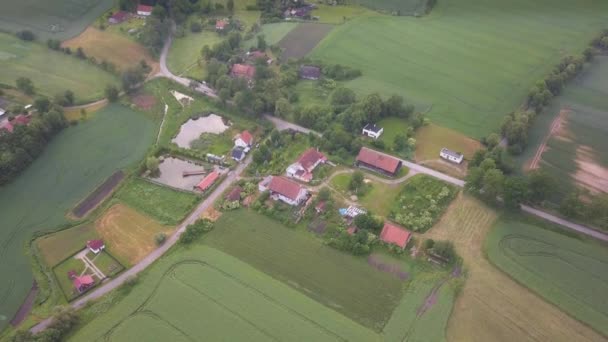 Landschaft Luftaufnahme Einem Bewölkten Tag Polnische Landschaft Kleines Dorf Felder — Stockvideo