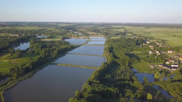 Vista Aérea Campos Arroz Inundados Polonia Primavera — Vídeo de stock