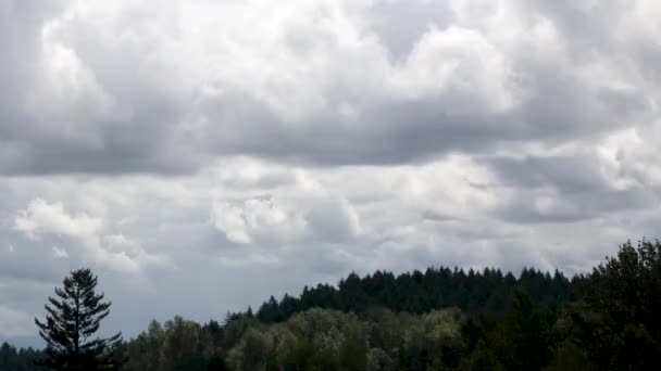 Хронология Бушующих Облаков Движущихся Над Лесистым Склоном Холма — стоковое видео