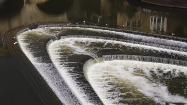 Super Slow Motion Närbild Fiskmåsar Som Lyfter Från Pulteney Weir — Stockvideo