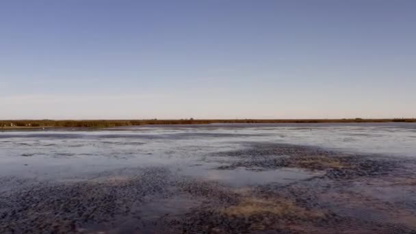 Mocsárfúrás Dél Texasban — Stock videók