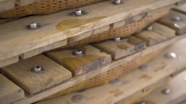 Tilt Apples Cider Press Being Pressed Juice Dripping Stainless Steel — Stock Video