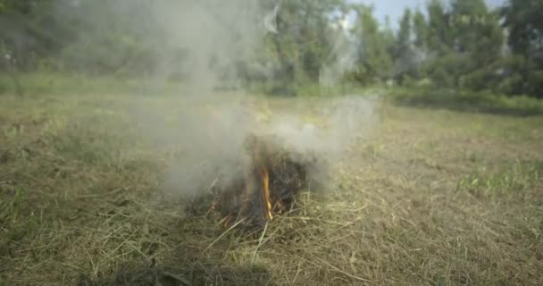 Langsam Feuer Auf Gras Entzünden — Stockvideo