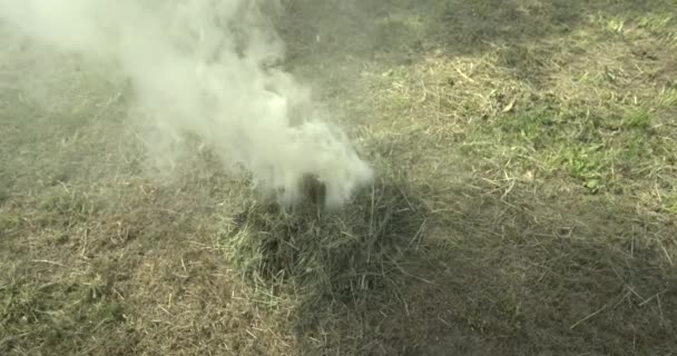 スローモ 芝生の上での軽い焚き火 — ストック動画