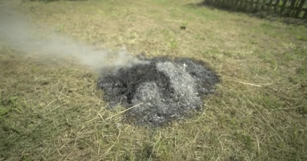 Langsam Feuer Auf Gras Entzünden — Stockvideo