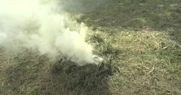スローモ 芝生の上での軽い焚き火 — ストック動画
