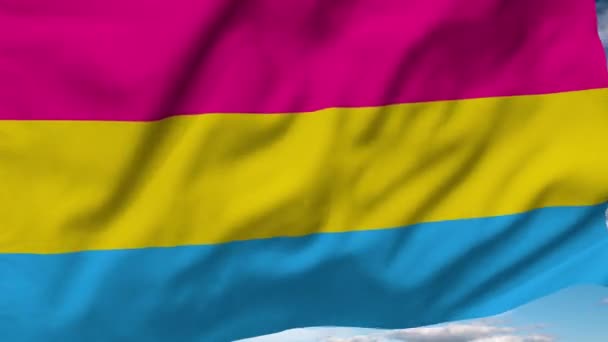 Pansexual Bandeira Orgulho Sopra Vento — Vídeo de Stock