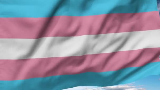 跨性别骄傲的旗帜在风中飘扬 — 图库视频影像