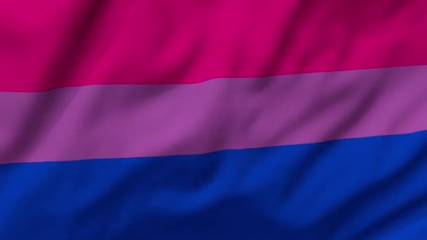 Bisexual Pride Σημαία Φυσά Στον Άνεμο — Αρχείο Βίντεο